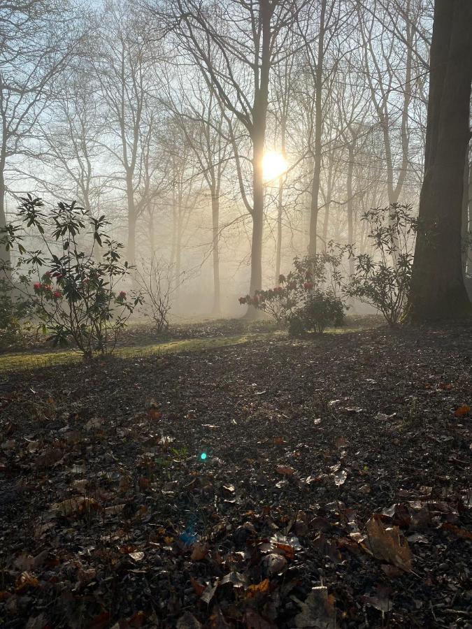 B&B Miranoza Oud-Heverlee Exteriér fotografie